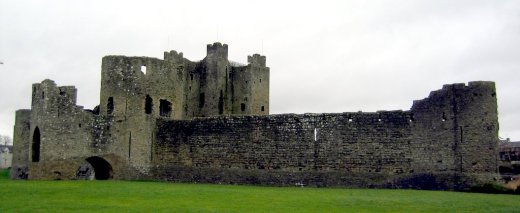 Trim Castle present